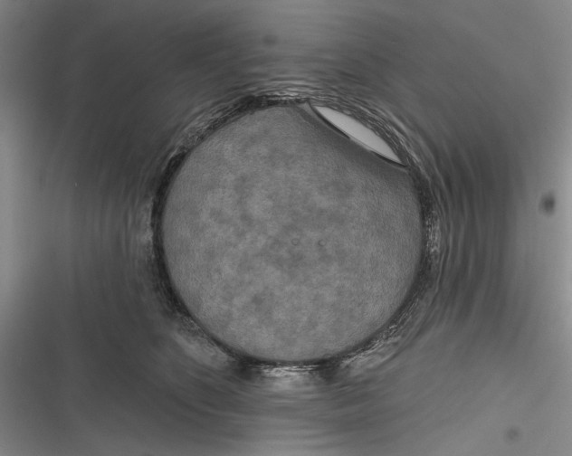 X0000116850516201001121222