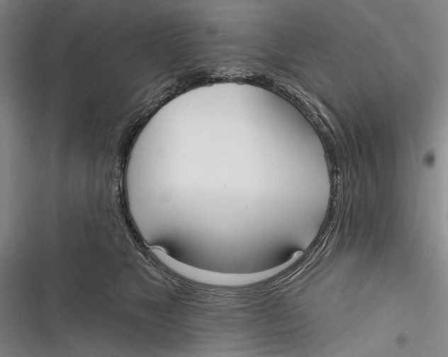 X0000116850517201001121222