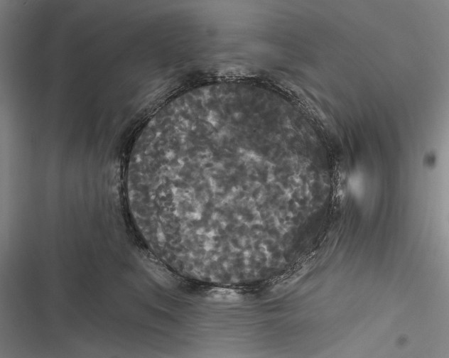X0000116850519201001121222