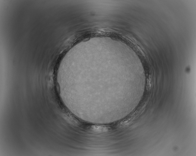 X0000116850520201001121222