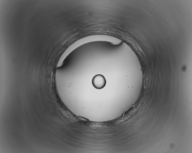 X0000116850521201001121222