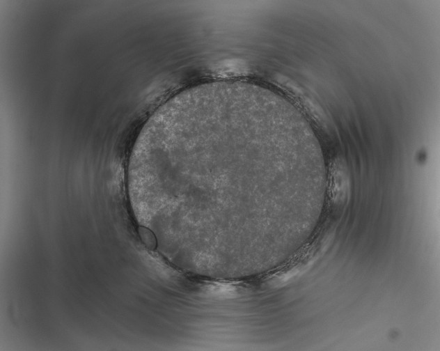 X0000116850523201001121222