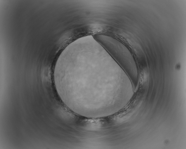 X0000116850524201001121222