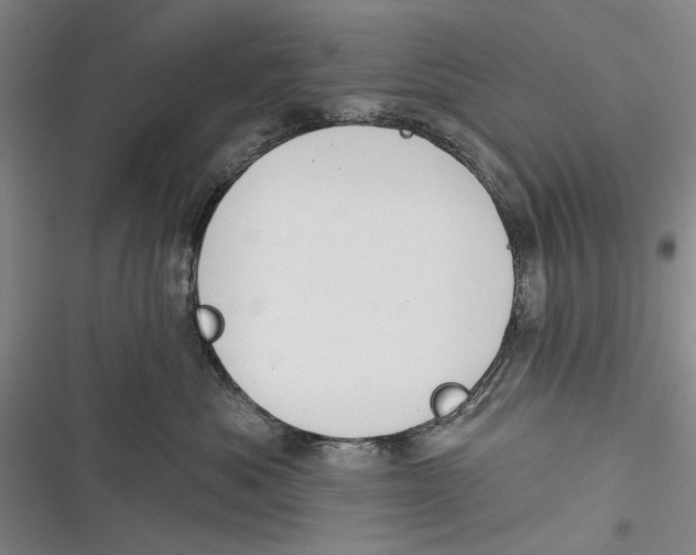 X0000116850525201001121222