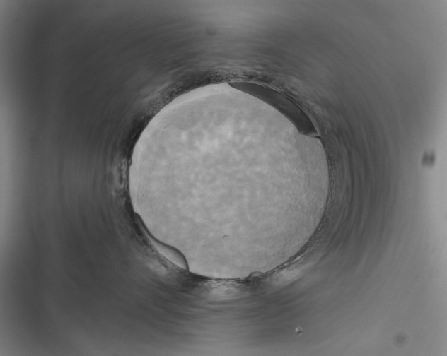 X0000116850528201001121222