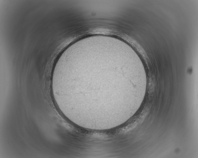 X0000116850529201001121222
