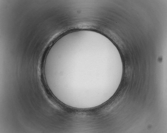 X0000116850530201001121222