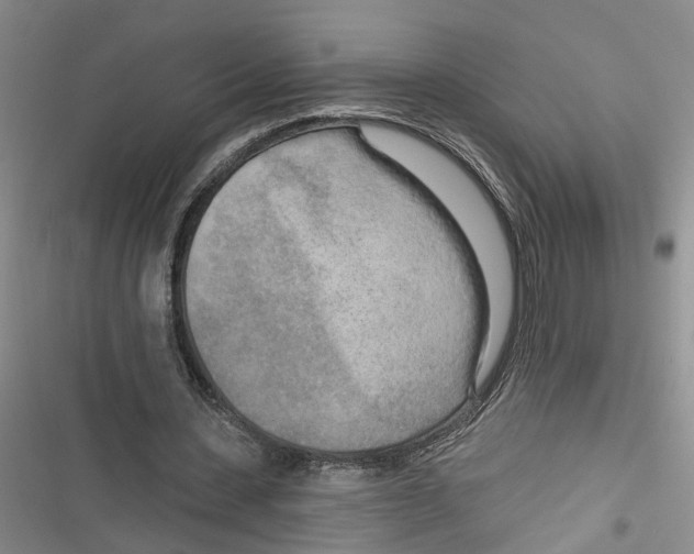 X0000116850531201001121222