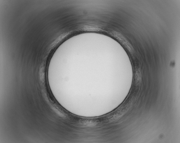X0000116850533201001121222