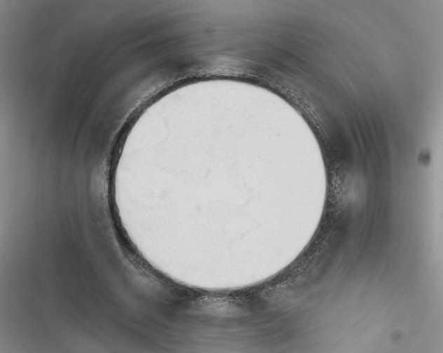 X0000116850534201001121222