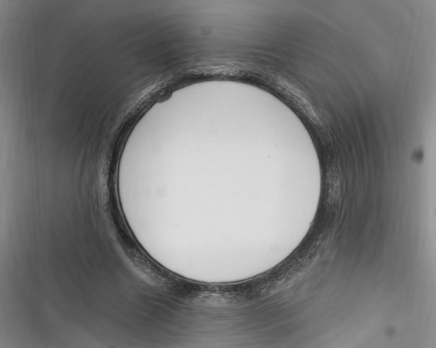 X0000116850538201001121222