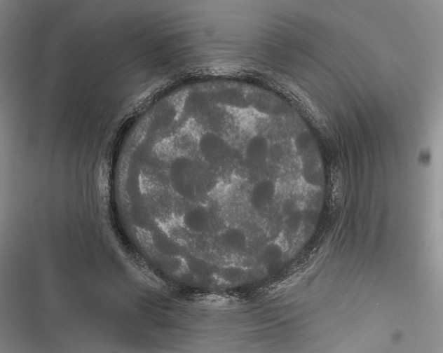 X0000116850542201001121222