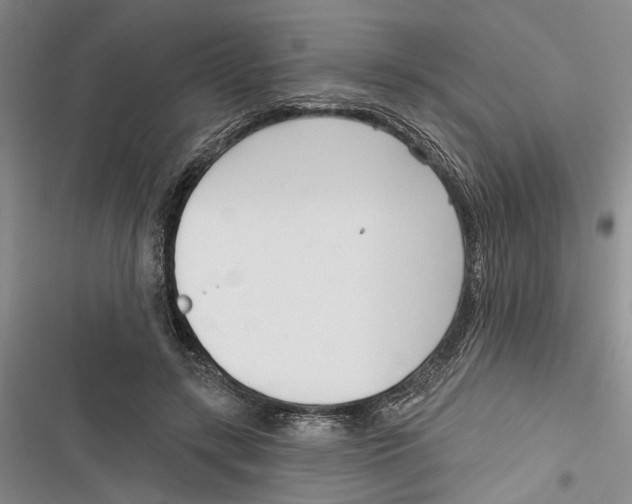 X0000116850547201001121222