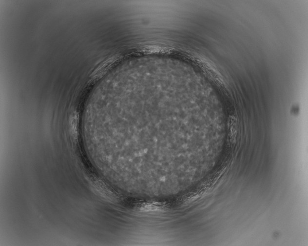 X0000116850550201001121222
