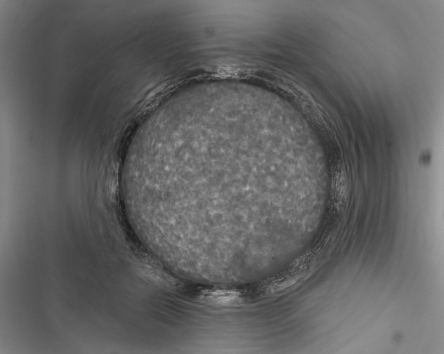 X0000116850554201001121222