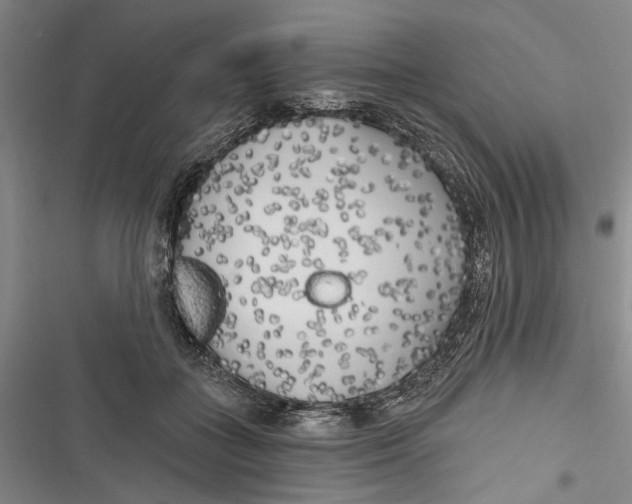 X0000116850555201001121222