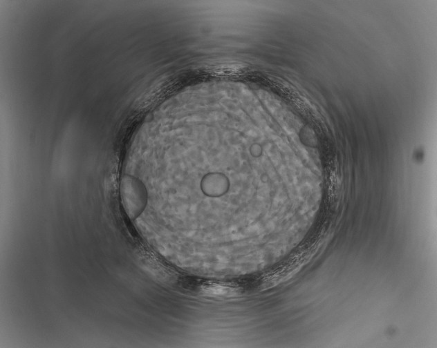 X0000116850561201001121222