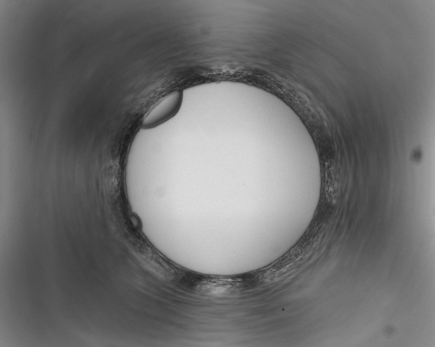 X0000116850563201001121222