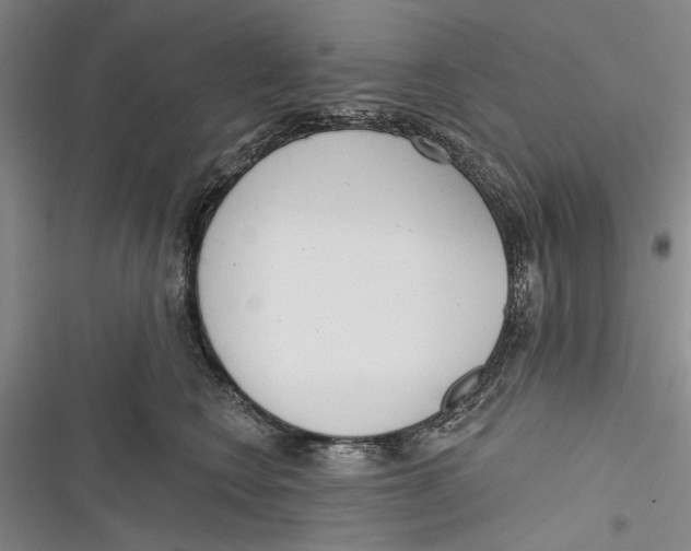 X0000116850566201001121222
