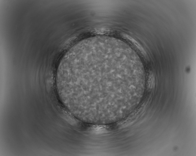 X0000116850569201001121222