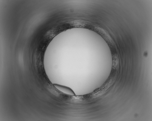 X0000116850573201001121222