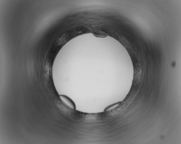 X0000116850574201001121222