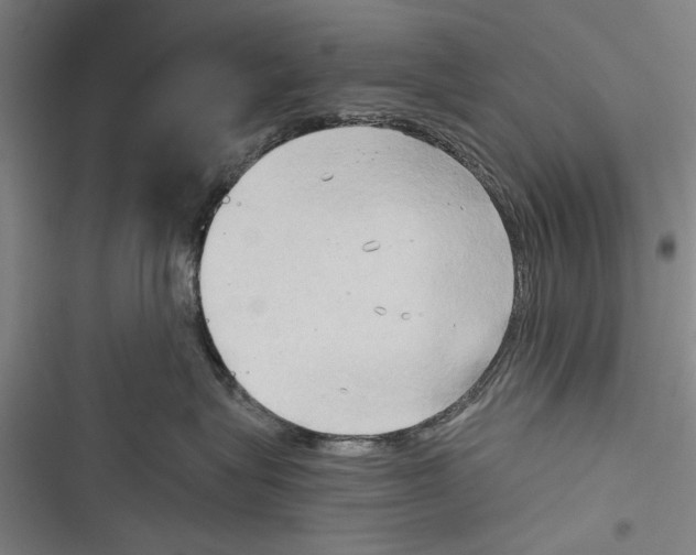X0000116850575201001121222