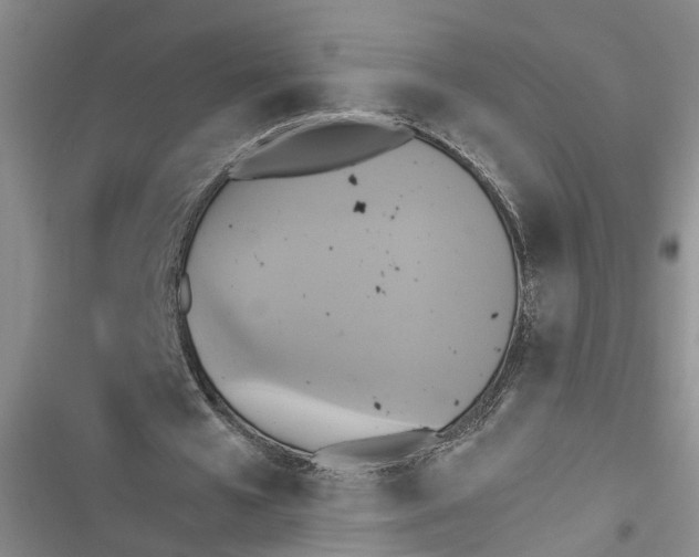 X0000116850577201001121222