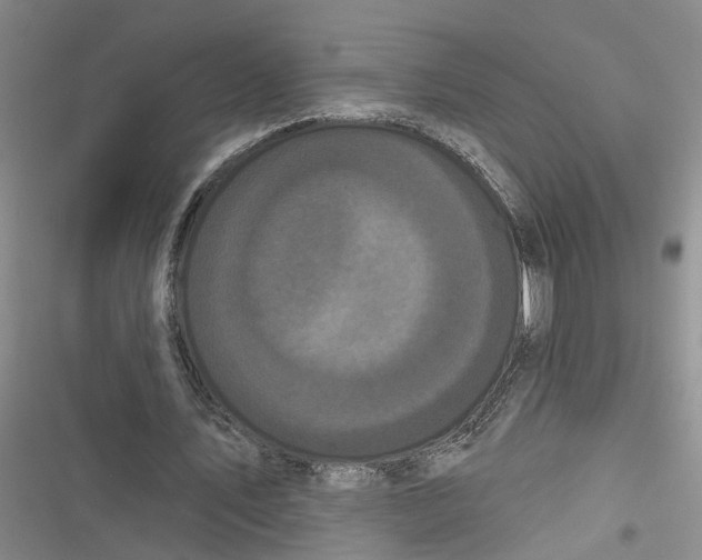 X0000116850579201001121222