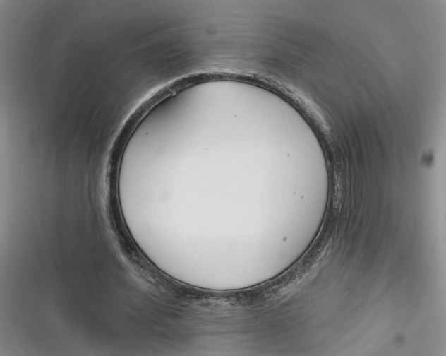 X0000116850580201001121222
