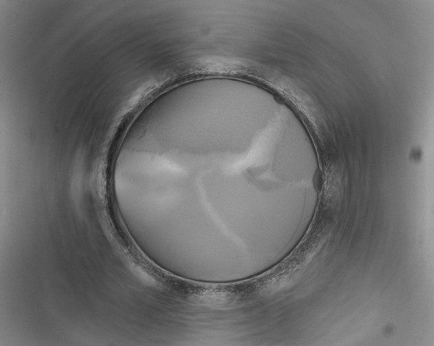 X0000116850581201001121222
