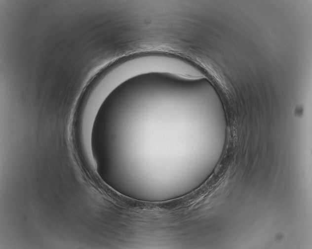 X0000116850583201001121222