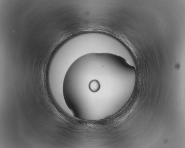 X0000116850585201001121221