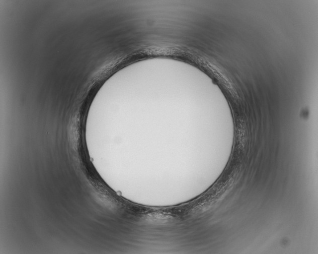 X0000116850586201001121221