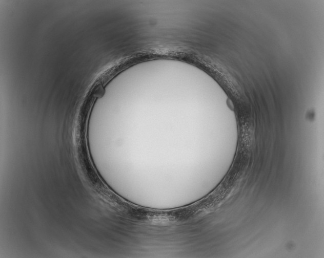 X0000116850587201001121221