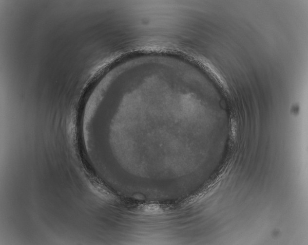 X0000116850588201001121221