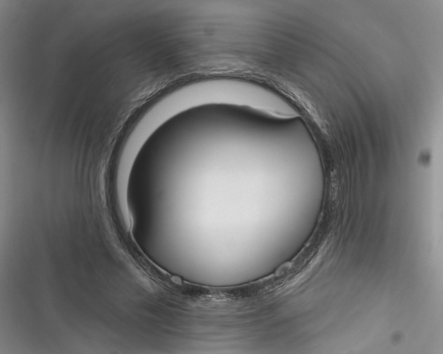 X0000116850589201001121221