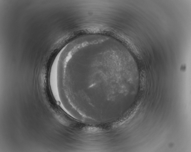 X0000116850590201001121221