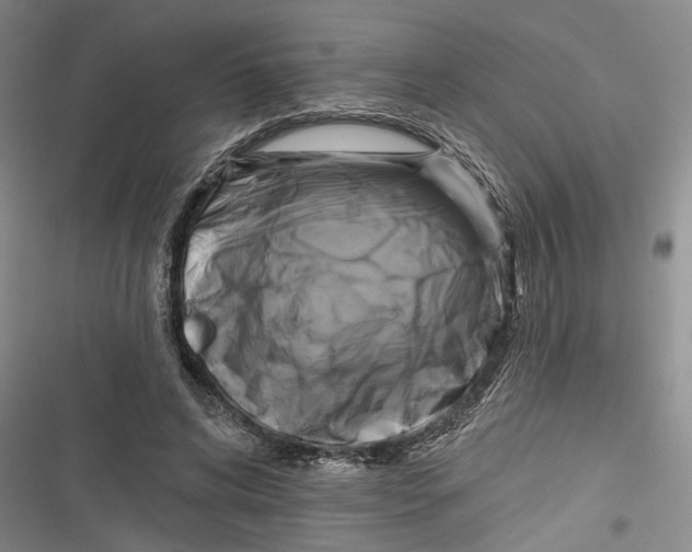 X0000116850592201001121221