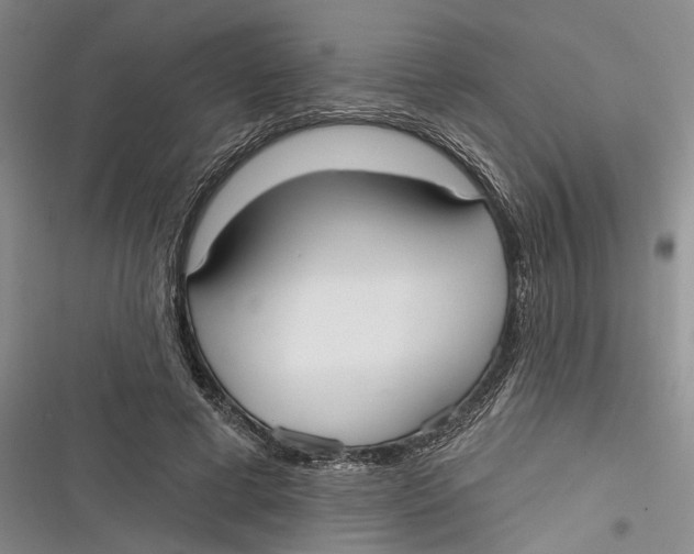 X0000116850593201001121221