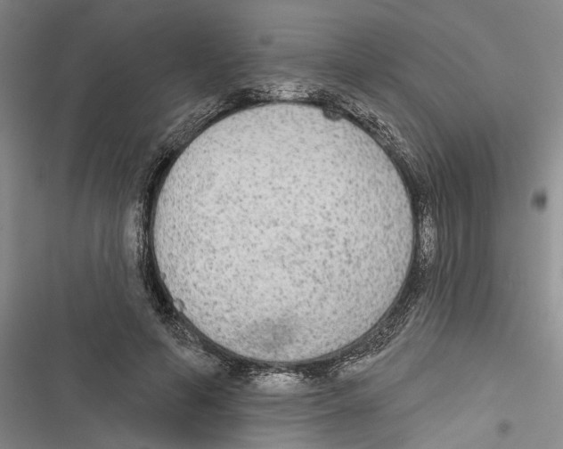 X0000116850594201001121221