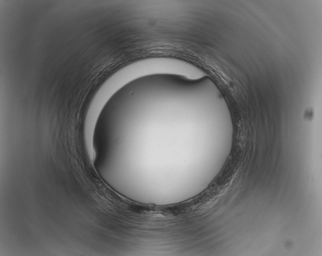 X0000116850597201001121221