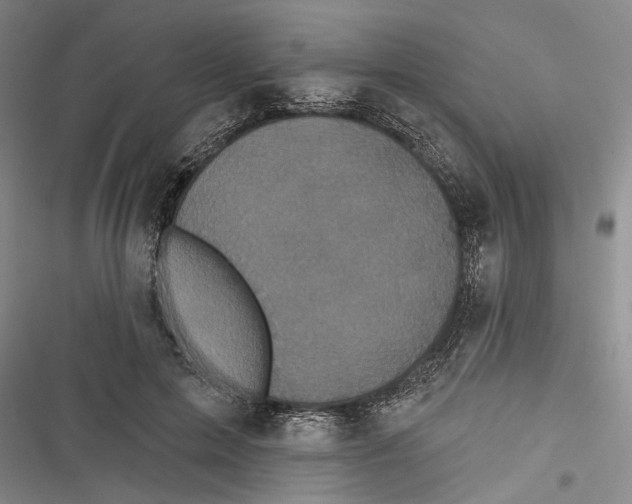 X0000116850599201001121221