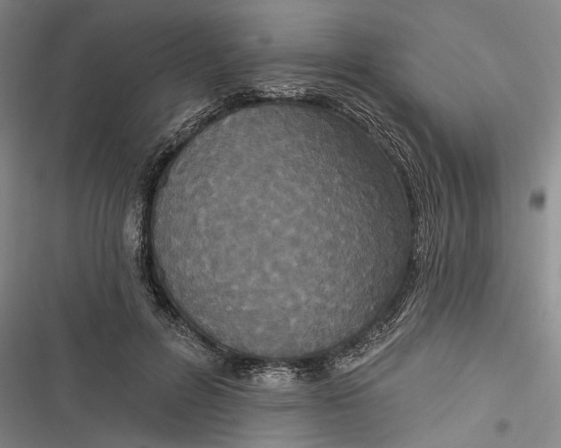 X0000116850600201001121221