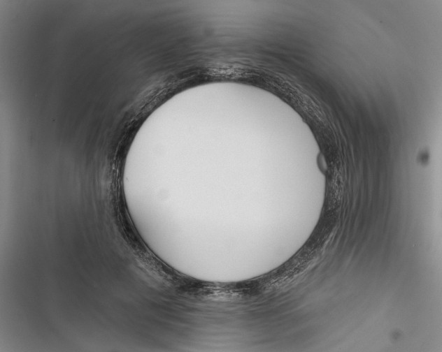 X0000116850601201001121221