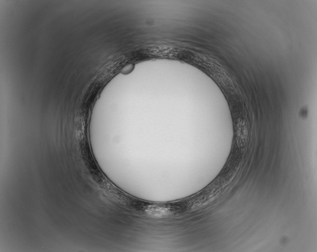 X0000116850602201001121221