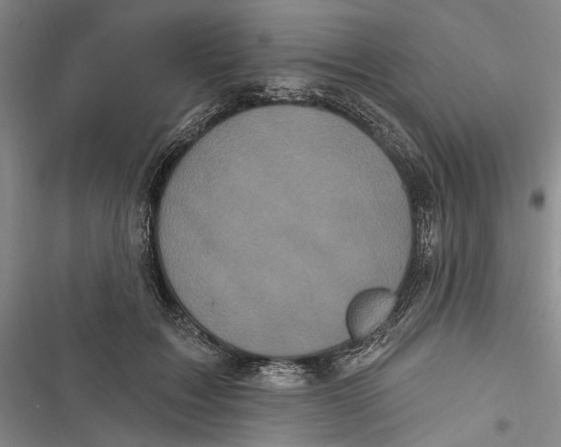 X0000116850603201001121221