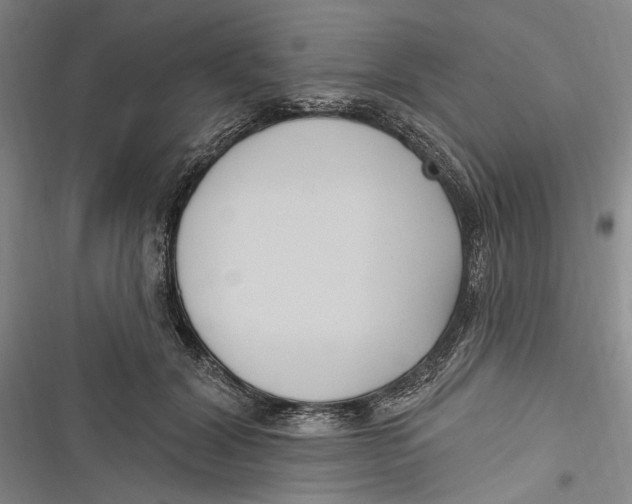 X0000116850604201001121221