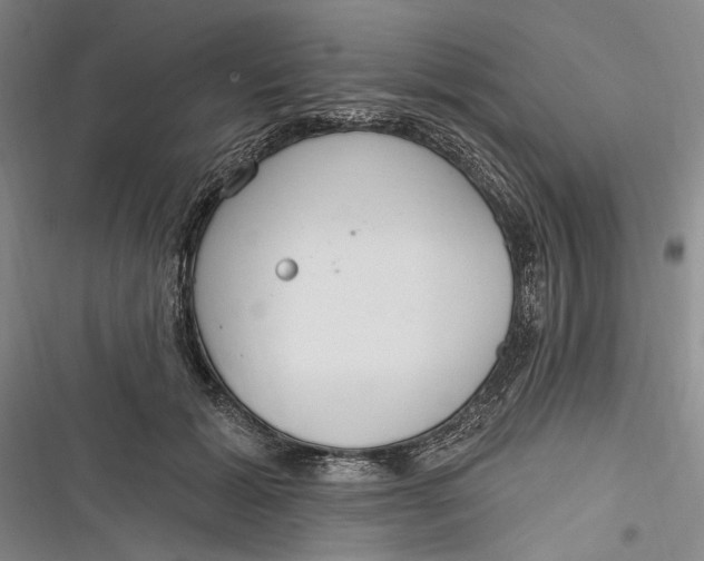 X0000116850605201001121221