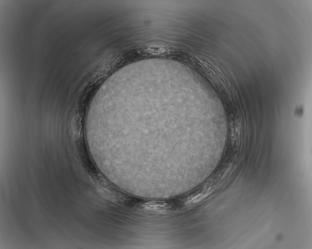 X0000116850606201001121221